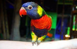 Austin Aquarium_702643_10201431281718791_921798087_n
