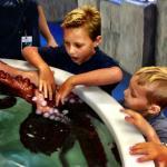 Austin Aquarium kids petting an octopus