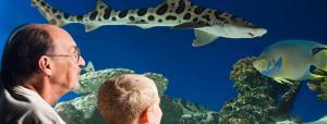 Austin Aquarium, Things To Do In Austin, view_1