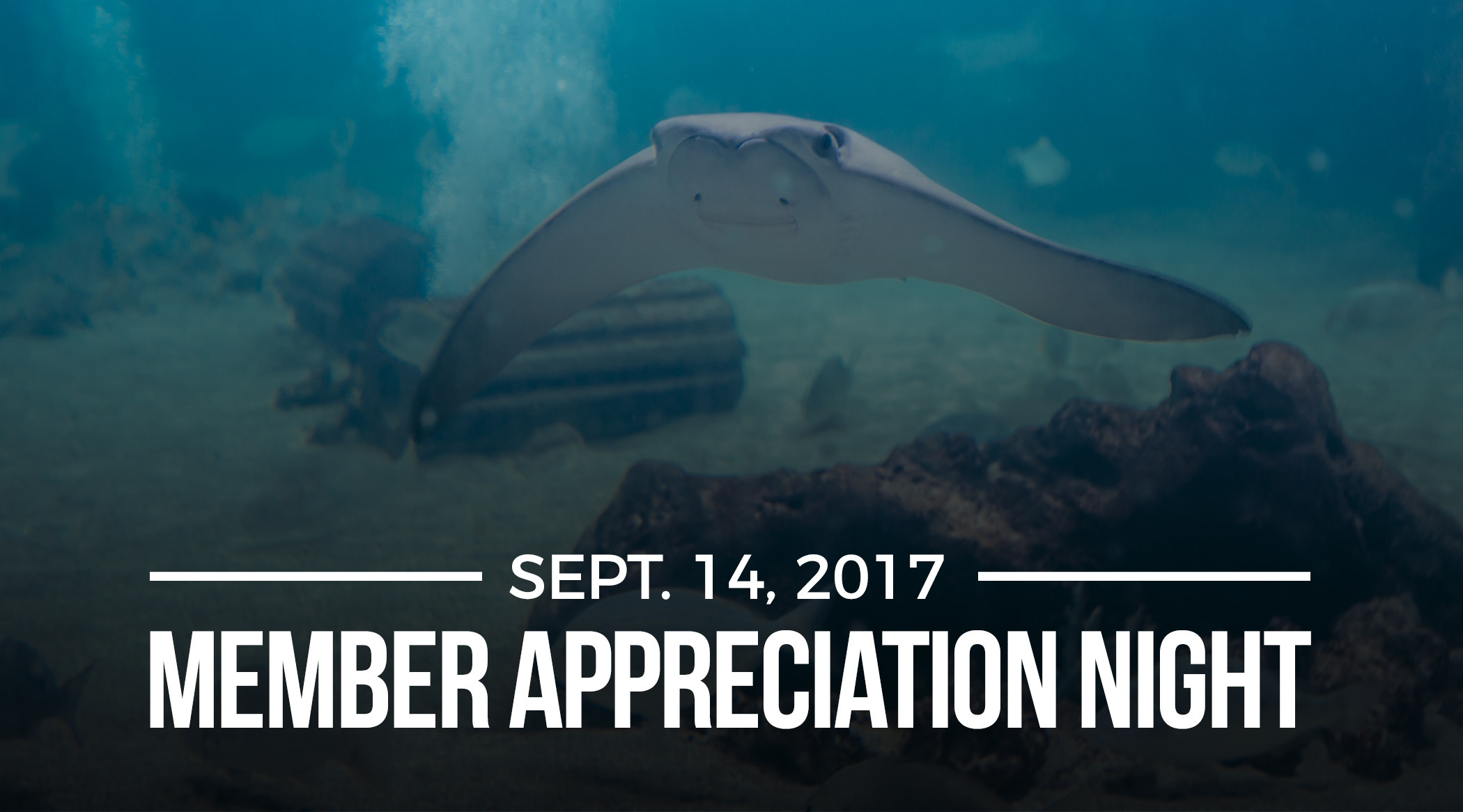 AUA_MEM_NIGHT_SEPT Austin Aquarium