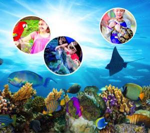 Austin Aquarium Interactive Aquarium