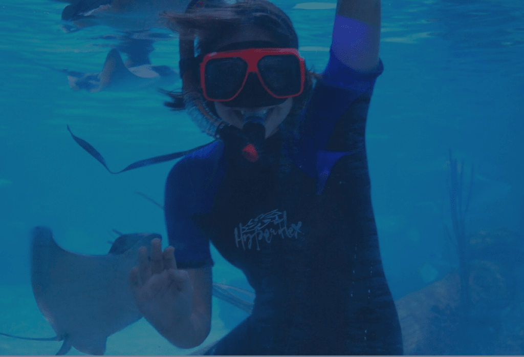 annual Austin Aquarium