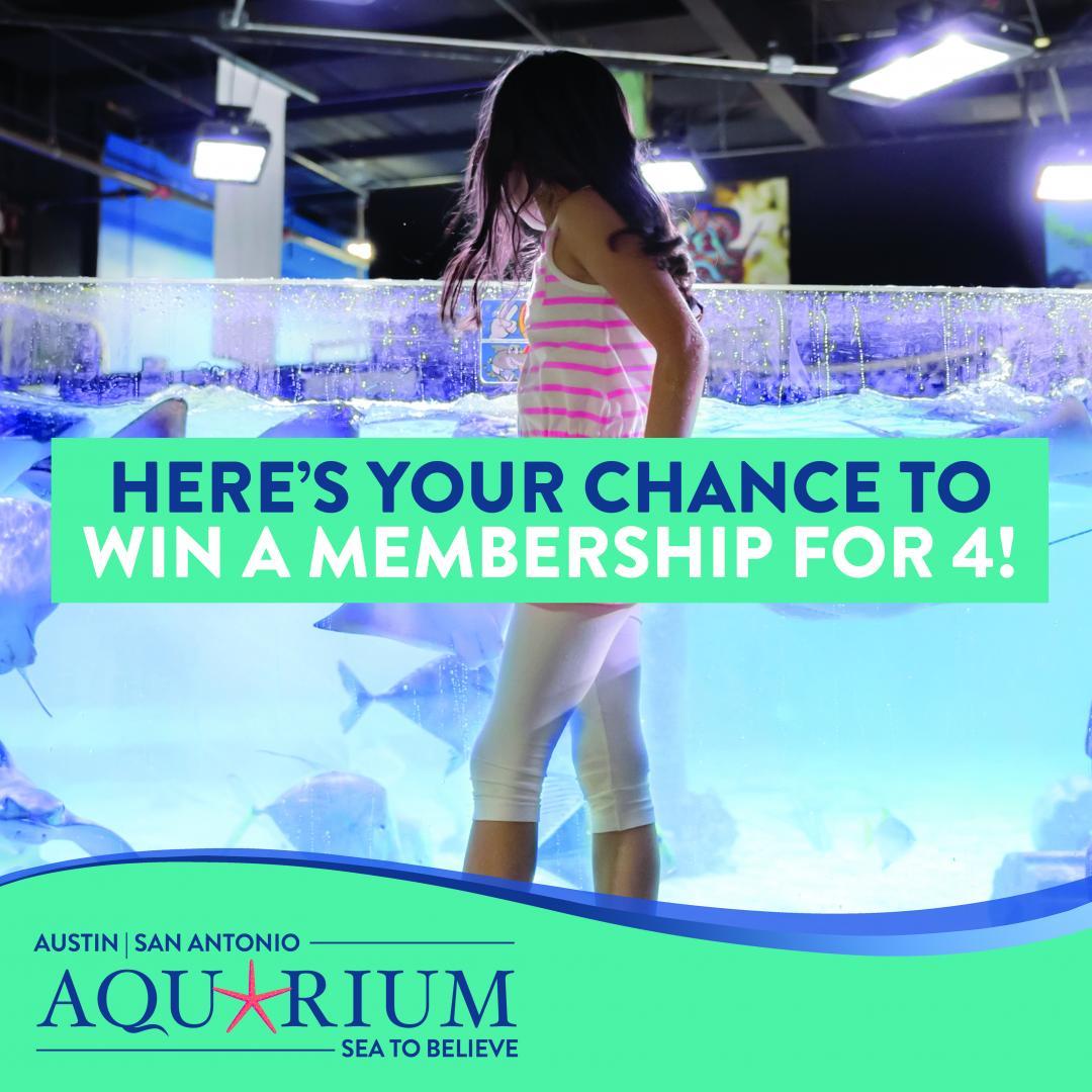 Austin Aquarium Memberships Austin Aquarium