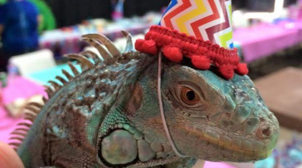 Birthday Parties at the Aquarium