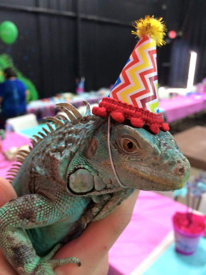 birthday-parties-at-austin-aquarium-reserve-your-spot-today