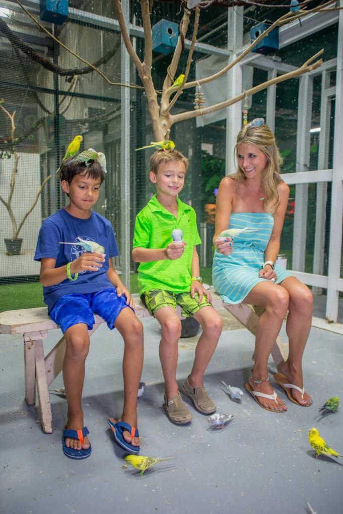 Field Trips to the Austin Aquarium Book your Adventure Today