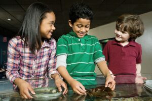 3 students at Austin Aquarium Field trip