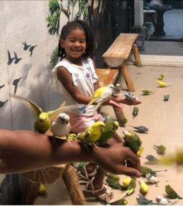 Feed and Touch Parakeets at the Austin Aquarium