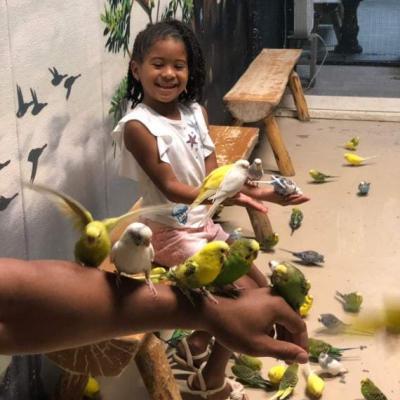 Feed and Touch Parakeets at the Austin Aquarium