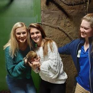Enjoy a Kinkajou Encounter at the Austin Aquarium!