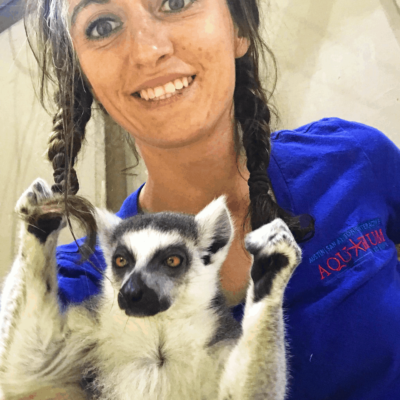 Touch and Enjoy a Lemur Encounter at Austin Aquarium!