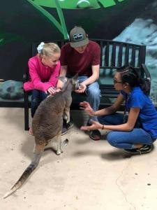 Pet and Feed Kangaroos at the Austin Aquarium