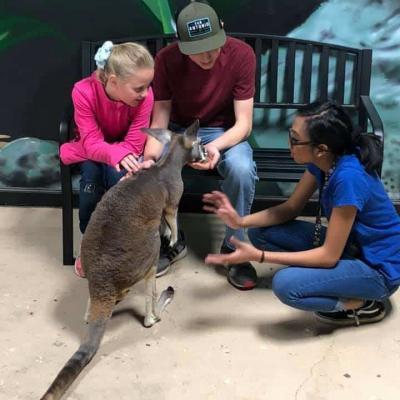 Pet and Feed Kangaroos at the Austin Aquarium