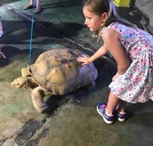 Touch and Feed Live Tortoise at the Austin Aquarium