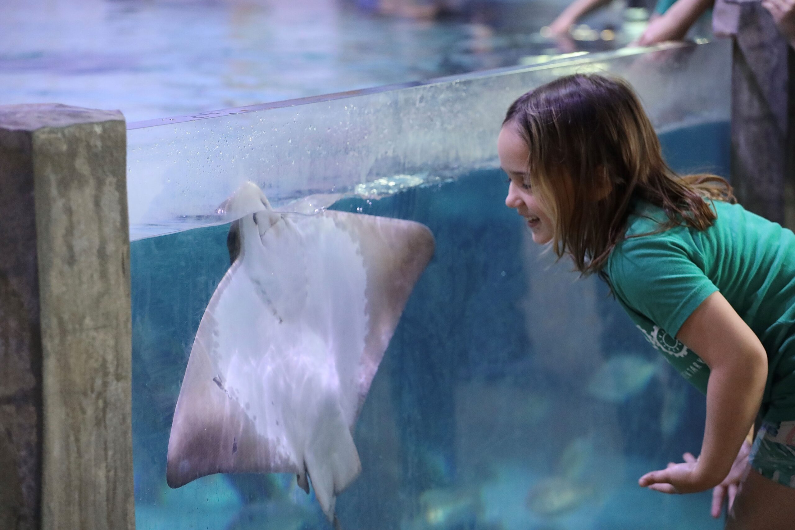 8 Fun Summer Indoor and Outdoor Activities for Kids in Austin
